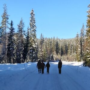 Forandring i familien. Indsatser i henhold til barnets lov. FORFRI - forandringsfokus